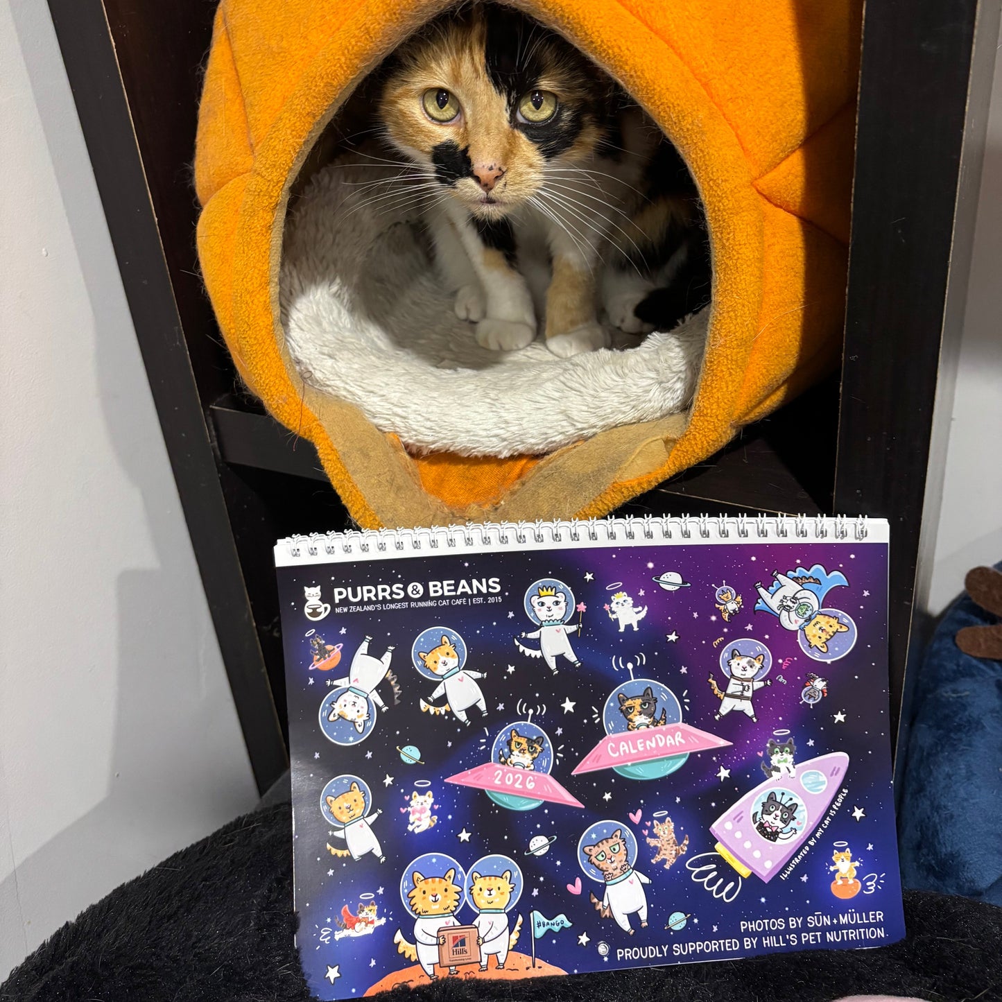 Cat with Purrs & Beans 2026 calendar