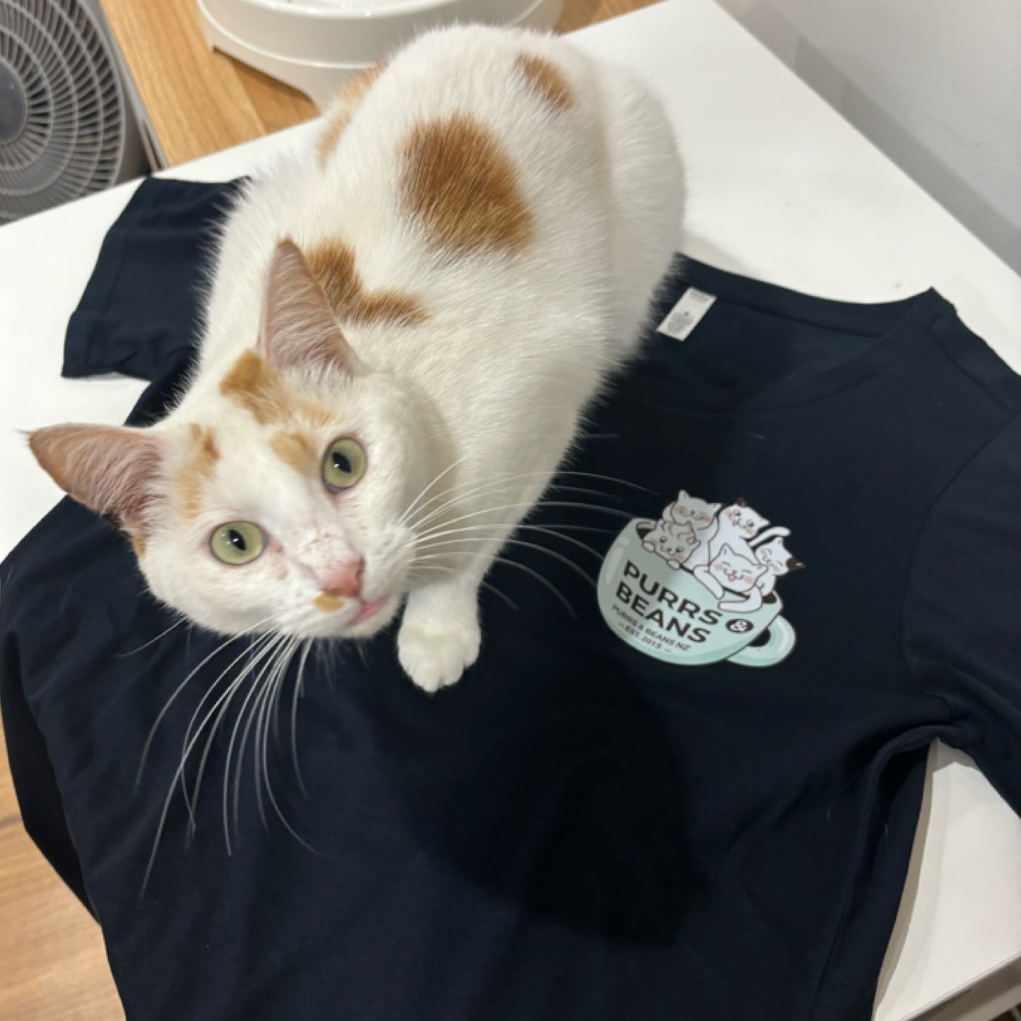 Cup of Cats T-shirt